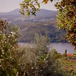 Arrabia Bunga Douro Raiva