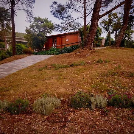 Arrabia Bunga Douro Casa de Campo *