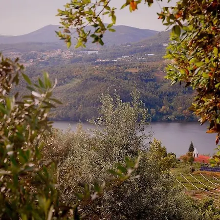 Arrabia Bunga Douro Raiva