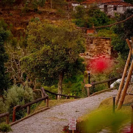 Arrabia Bunga Douro * Raiva