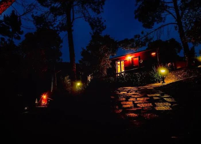 Arrabia Bunga Douro Raiva