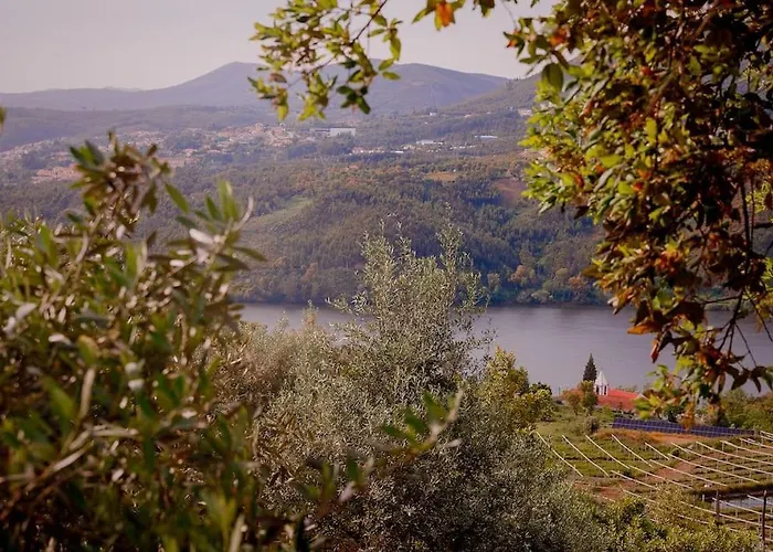 Arrabia Bunga Douro Raiva